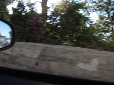 IMG_2073.JPG