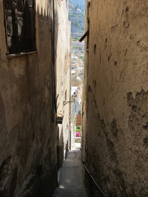 IMG_2133.jpg