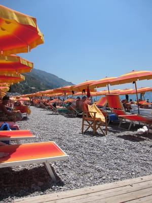 IMG_2157.jpg