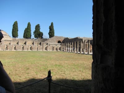 IMG_2253.JPG