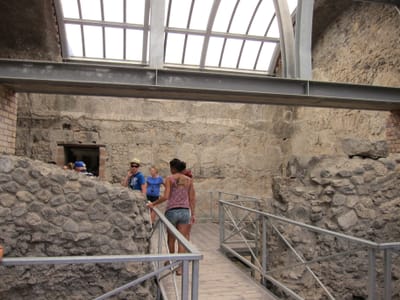 IMG_2316.JPG