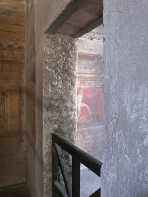 IMG_2364.jpg