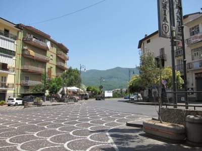 IMG_2378.JPG