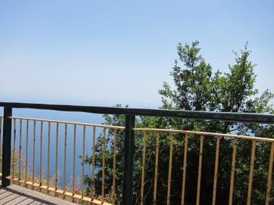 IMG_2379.JPG