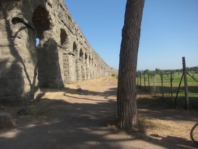 IMG_2535.JPG