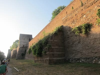 IMG_2555.JPG