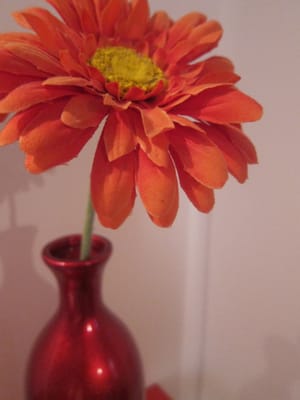 IMG_2631.jpg