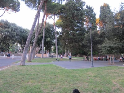 IMG_2921.JPG