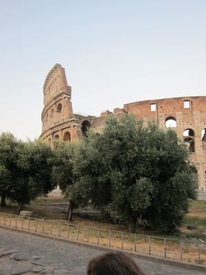 IMG_2946.jpg
