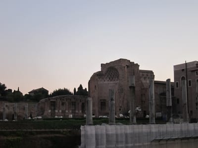 IMG_2952.JPG