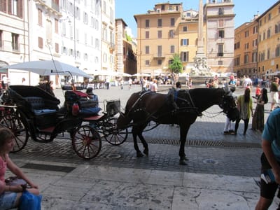 IMG_3005.JPG