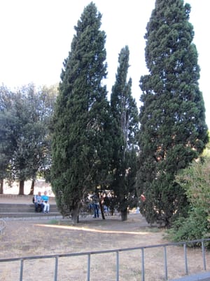 IMG_3128.jpg