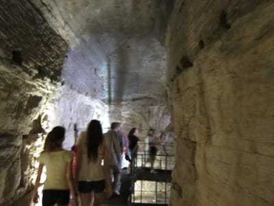 IMG_3147.JPG