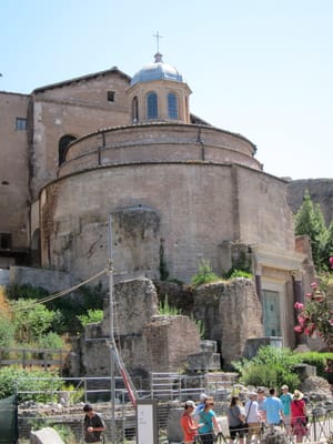 IMG_3224.jpg