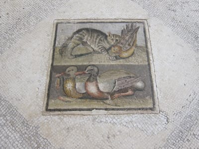 IMG_3353.JPG