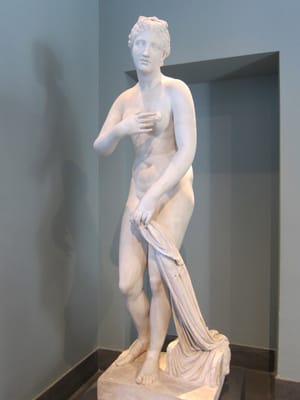 IMG_3363.jpg