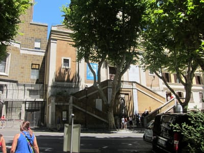 IMG_3513.JPG
