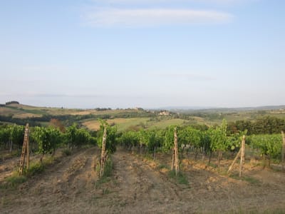 IMG_1597.JPG