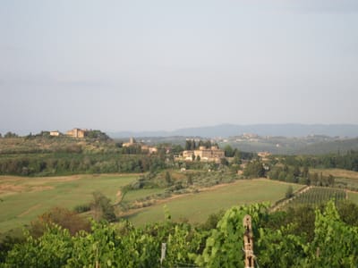 IMG_1598.JPG