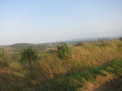 IMG_1601.JPG