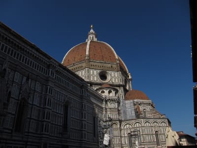 IMG_1774.JPG