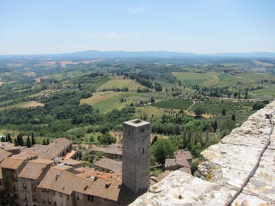 IMG_1893.JPG