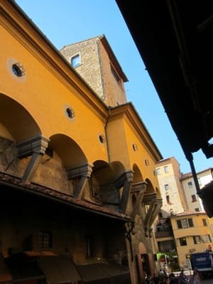 IMG_1931.jpg