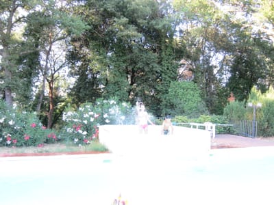 IMG_2011.JPG