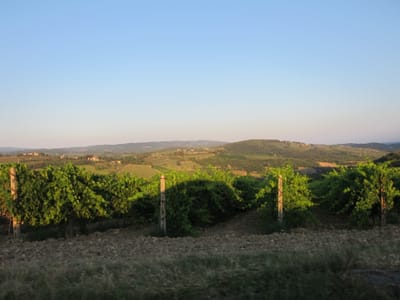 IMG_2017.JPG