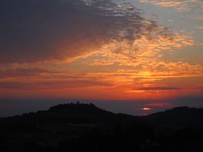 IMG_2026.JPG