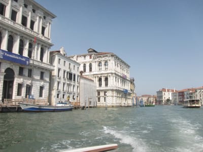 IMG_1181.JPG