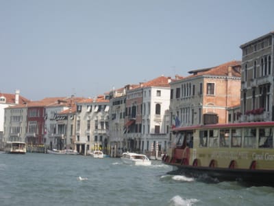 IMG_1183.JPG