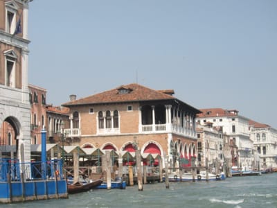 IMG_1186.JPG