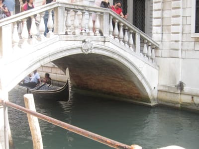 IMG_1217.JPG
