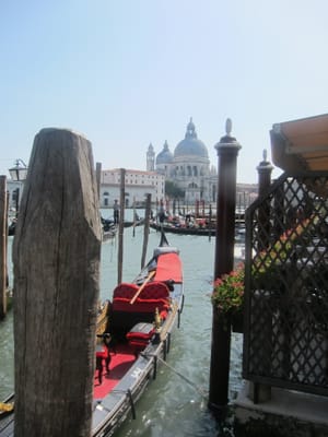 IMG_1254.jpg