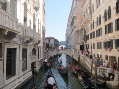 IMG_1258.JPG