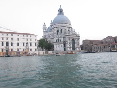 IMG_1316.JPG