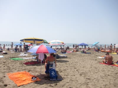 IMG_1340.JPG