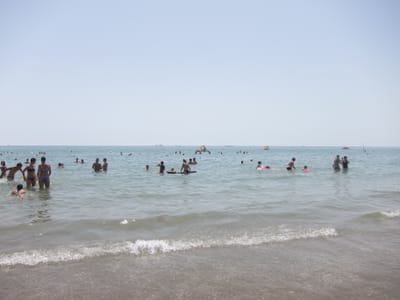IMG_1346.JPG