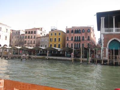 IMG_1445.JPG