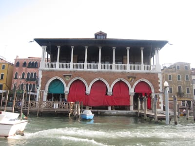 IMG_1446.JPG