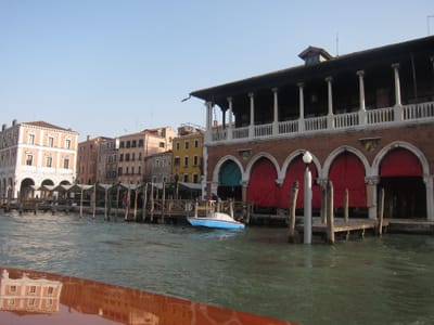 IMG_1447.JPG