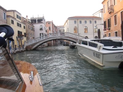 IMG_1474.JPG