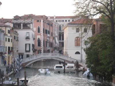 IMG_1482.JPG