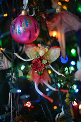 DSC_2413.jpg