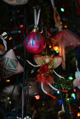 DSC_2418.jpg