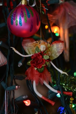 DSC_2424.jpg