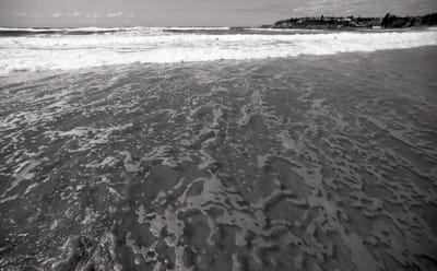 bw14mm-142.jpg