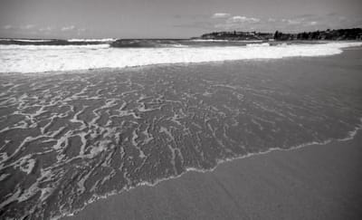 bw14mm-143.jpg