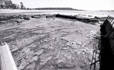 bw14mm-151.jpg